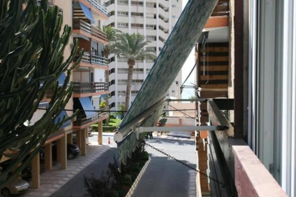Las Lanzas Studio Apartment Playa Muchavista Ел Кампело Екстериор снимка